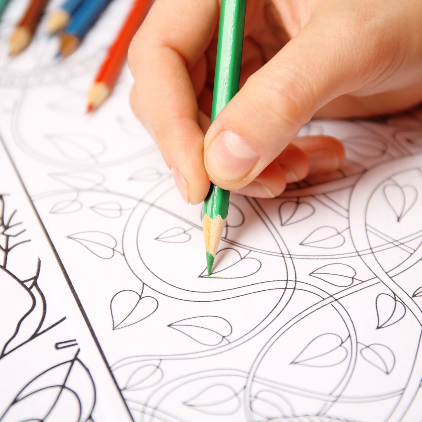 A Lappentot - download coloring in book pdf