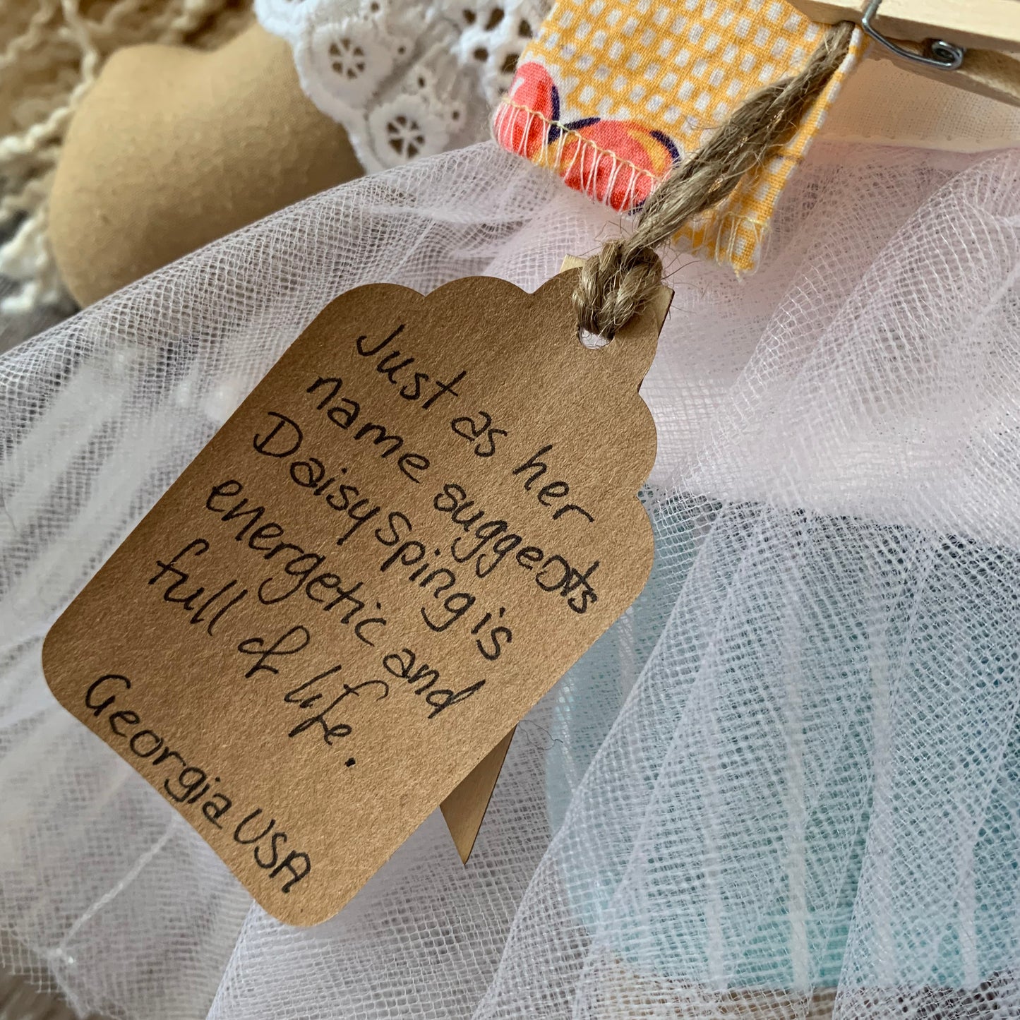 Lappentot Daisy Spring